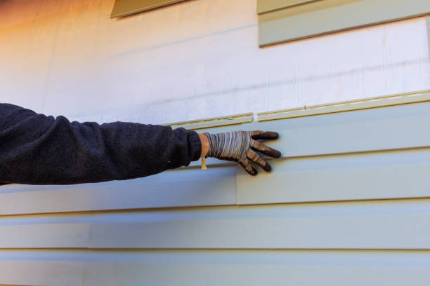 Professional Siding in North Oaks, MN